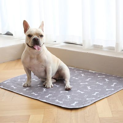 Französische Bulldogge sitzt auf Wuffaro Pheromon Pipi-Matte grau mit Knochendesign