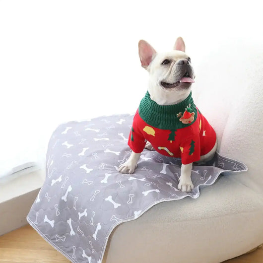 Französische Bulldogge in Weihnachtspullover auf Wuffaro Pipi-Matte grau mit Knochen