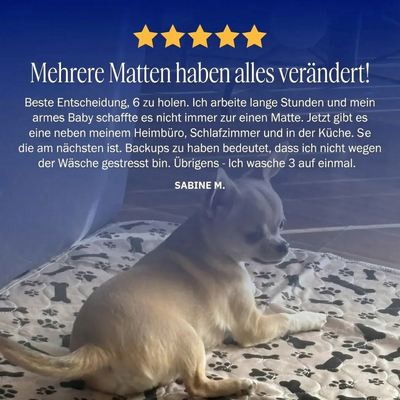 Wuffaro Kundenrezension 5 Sterne, Hund auf Pipi-Matte mit Pfotendesign, Testimonial Sabine M