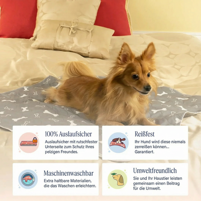 Pomeranian auf Wuffaro Pipi-Matte, Icons zeigen auslaufsicher reißfest maschinenwaschbar